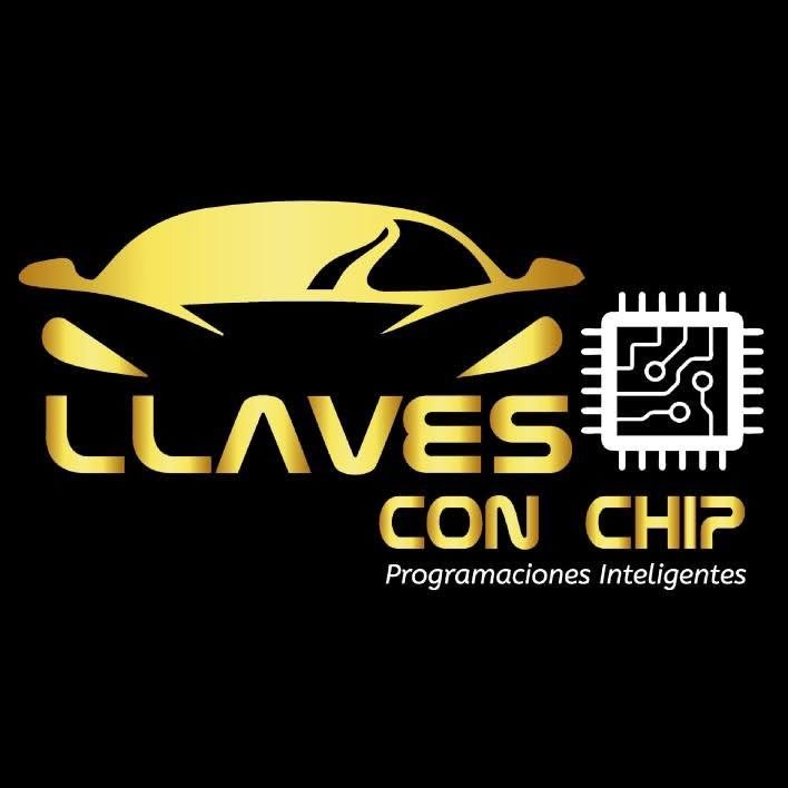 Logo Llaves de chip